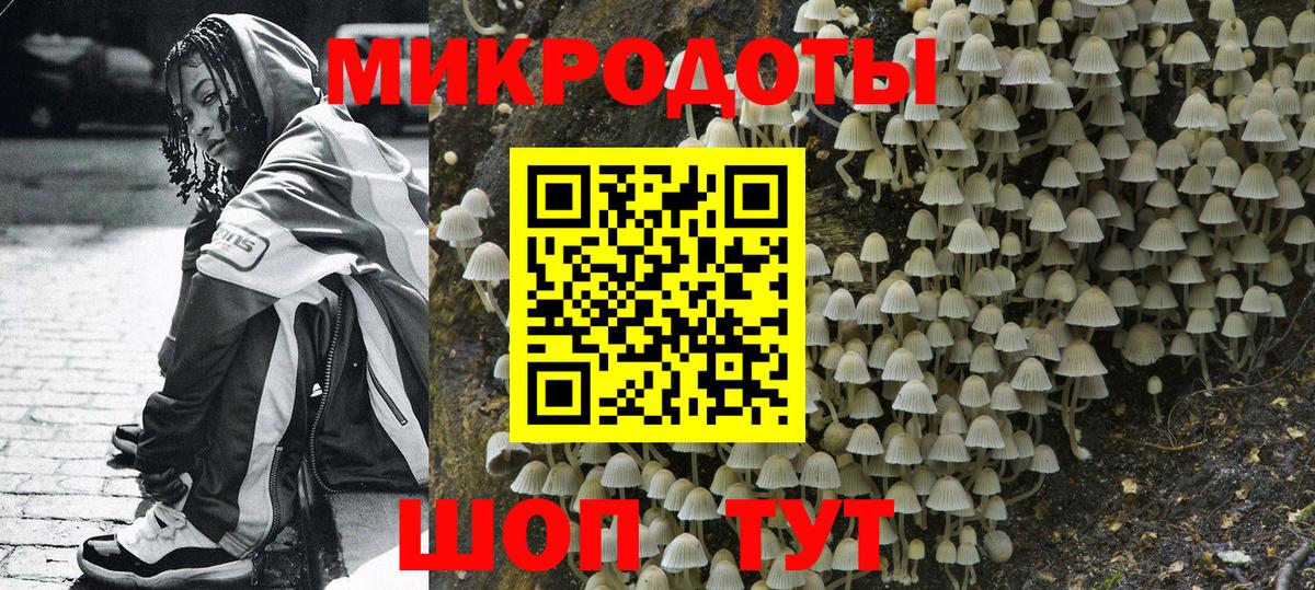 Псилоцибиновые грибы прущие грибы Подольск