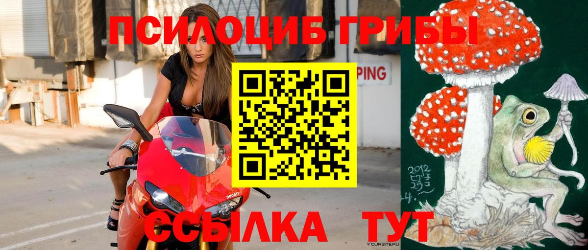 Галлюциногенные грибы Psilocybe  Псилоцибиновые грибы MAGIC MUSHROOMS  Подольск  Вход с VPN 