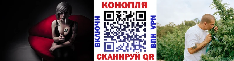 Бошки марихуана марихуана  KRAKEN зеркало  Подольск 